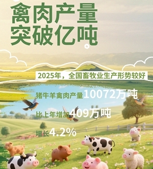 2025中国经济年报